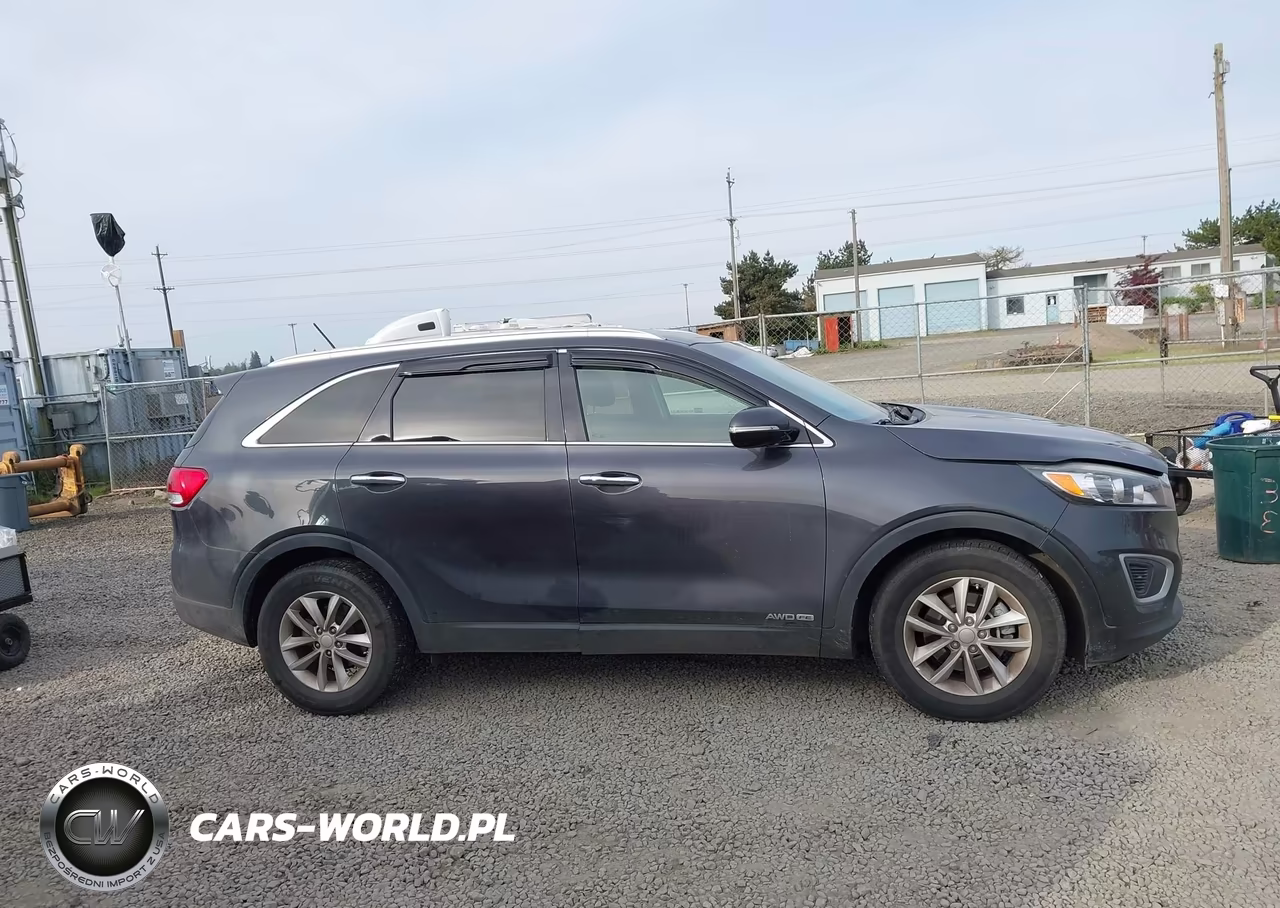 2017 Kia Sorento 3.3L Lx VIN:5XYPGDA53HG332595 - 13