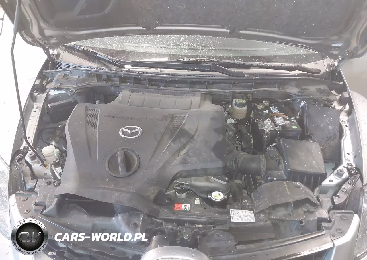 2010 Mazda Cx-7 S Grand Touring VIN:JM3ER2W31A0303998 - 10