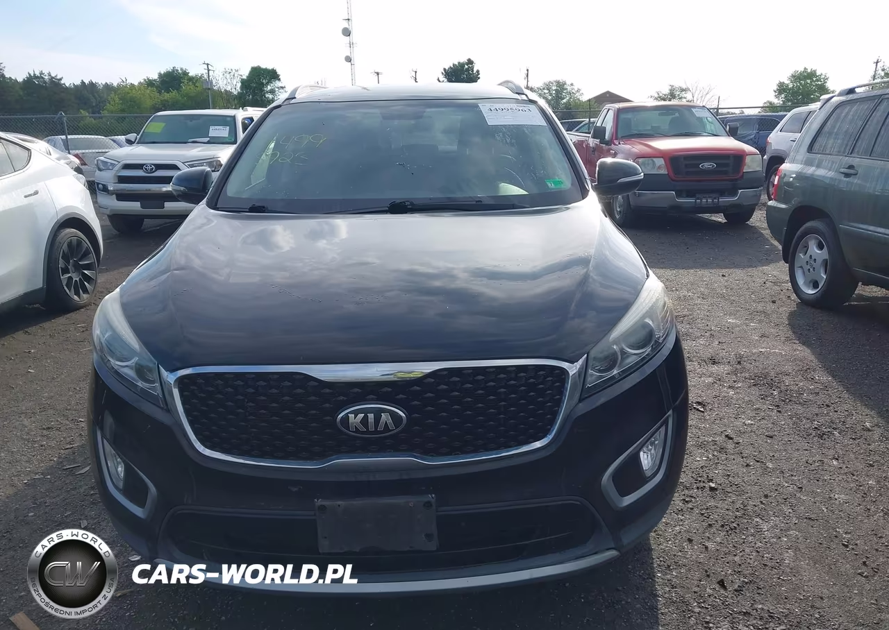 2016 Kia Sorento 3.3L Ex VIN:5XYPHDA53GG066913 - 12