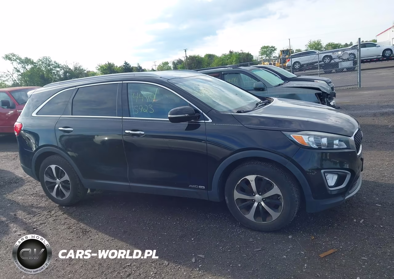 2016 Kia Sorento 3.3L Ex VIN:5XYPHDA53GG066913 - 13