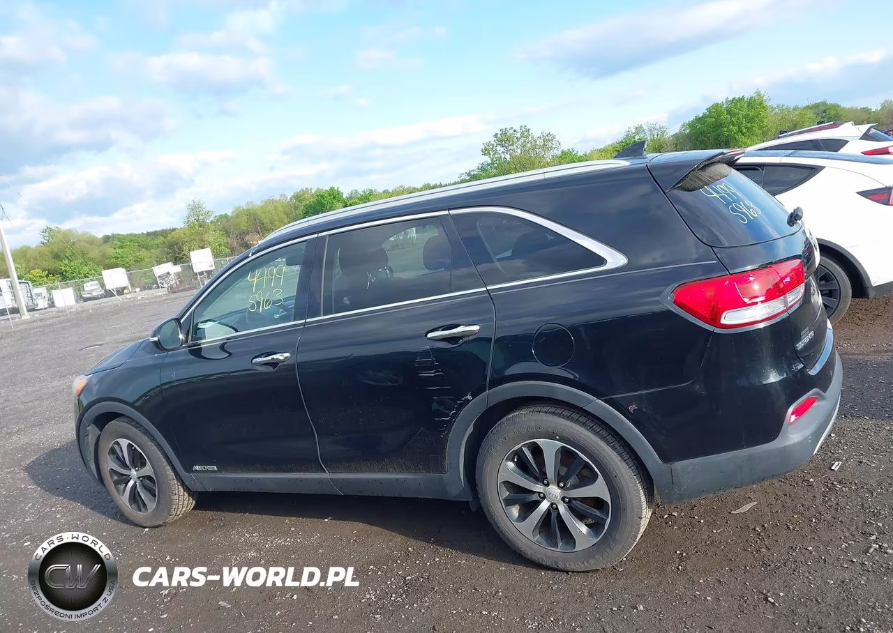 2016 Kia Sorento 3.3L Ex VIN:5XYPHDA53GG066913 - 14