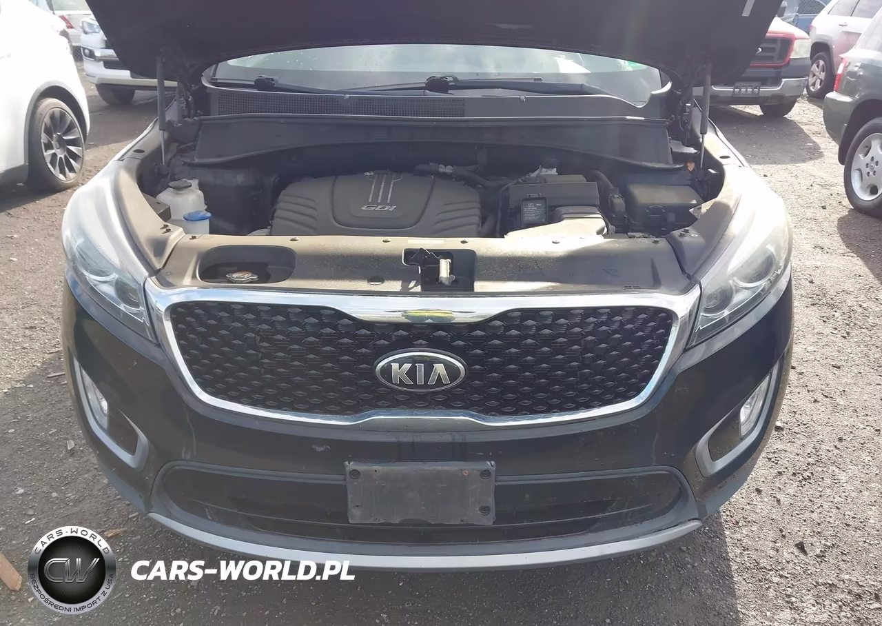 2016 Kia Sorento 3.3L Ex VIN:5XYPHDA53GG066913 - 18