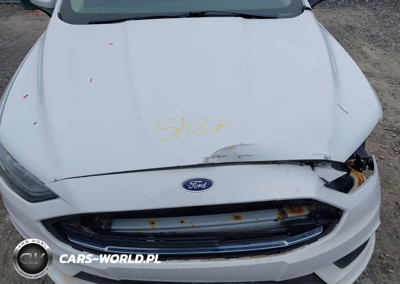 2017 Ford Fusion Hybrid Se VIN:3FA6P0LU9HR344030 - 10