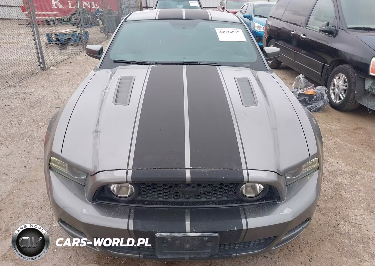 2013 Ford Mustang Gt VIN:1ZVBP8CF4D5264220 - 12