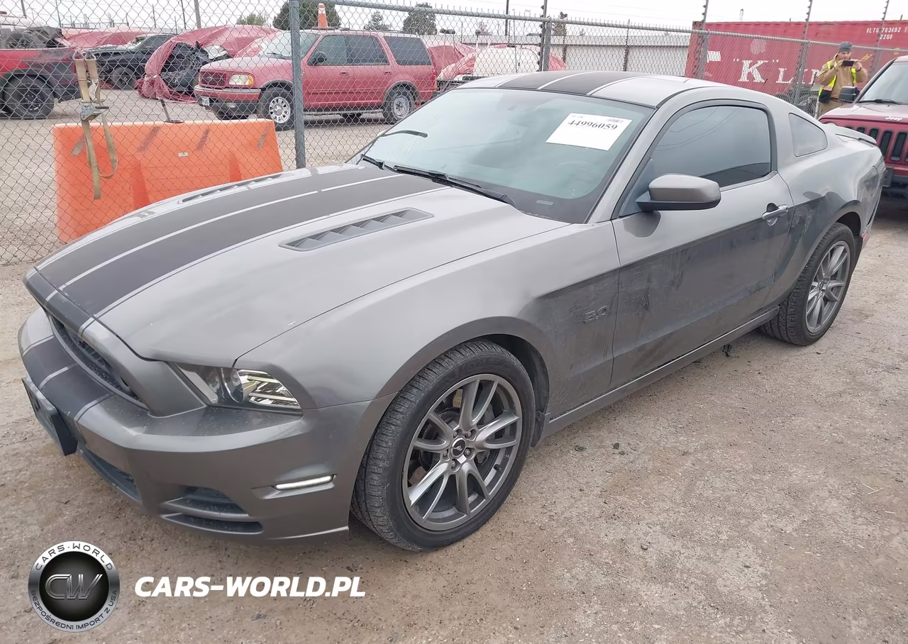 2013 Ford Mustang Gt VIN:1ZVBP8CF4D5264220 - 2
