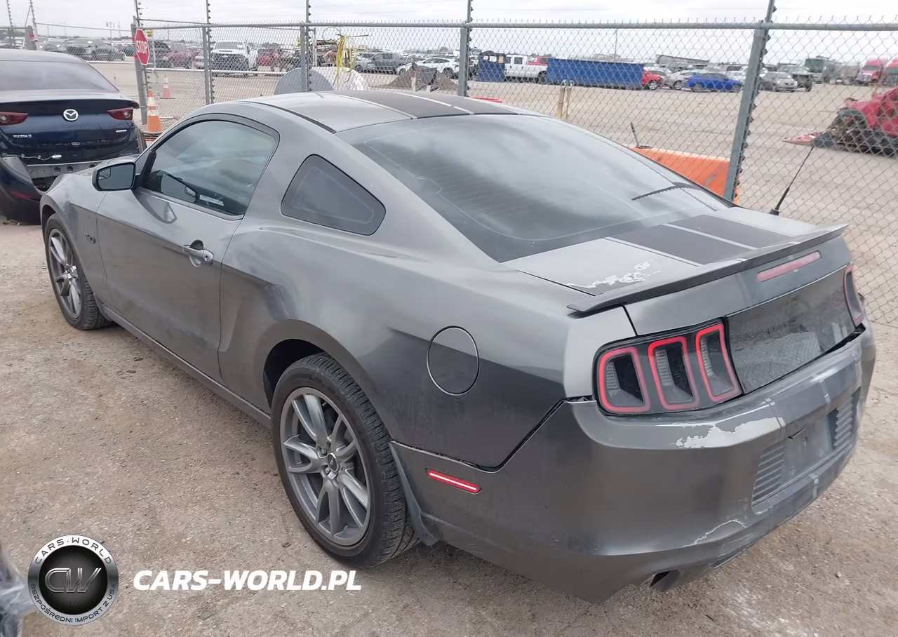 2013 Ford Mustang Gt VIN:1ZVBP8CF4D5264220 - 3
