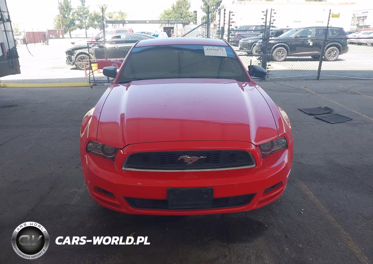 2014 Ford Mustang V6 VIN:1ZVBP8AM8E5259413 - 12