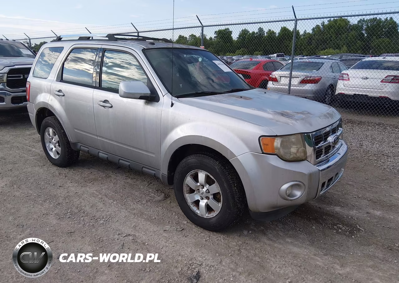 2010 Ford Escape Limited