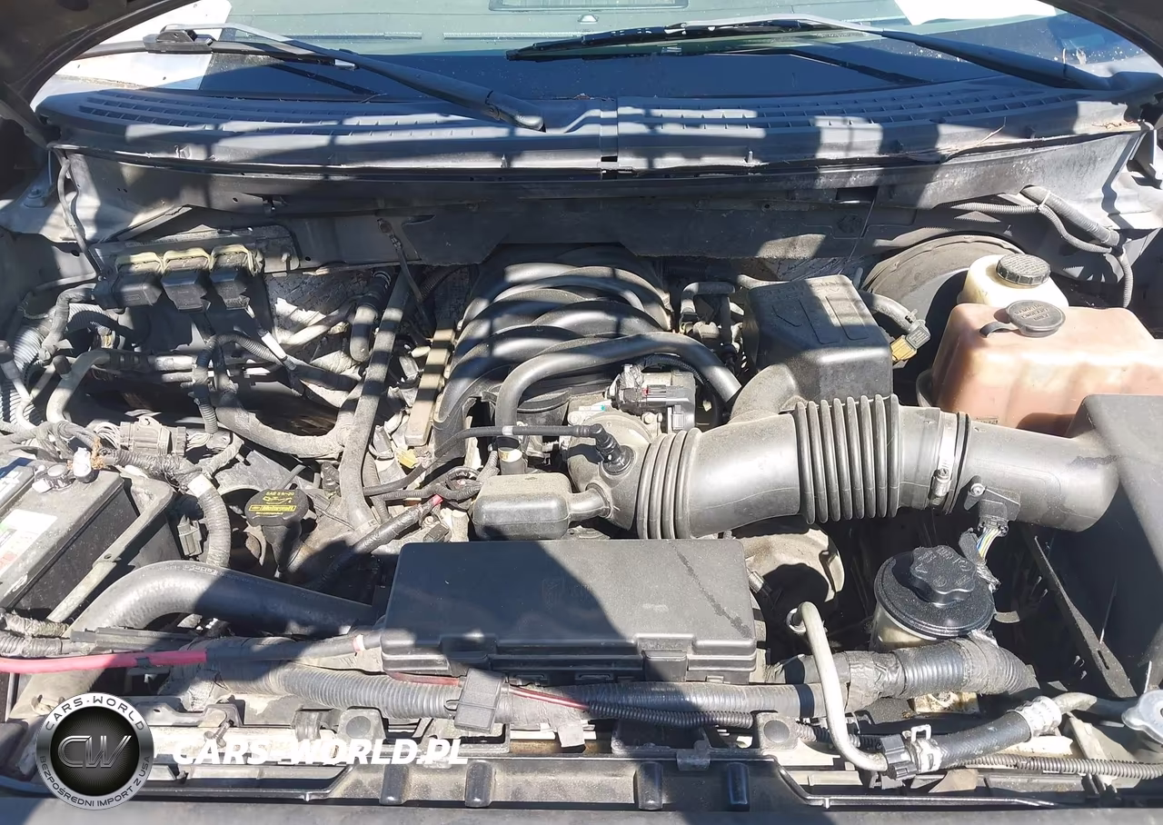 2010 Ford F-150 Fx2 Sport-Xl-Xlt VIN:1FTEW1C87AKA22983 - 10
