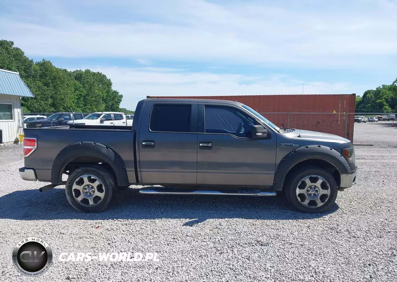 2010 Ford F-150 Fx2 Sport-Xl-Xlt VIN:1FTEW1C87AKA22983 - 13