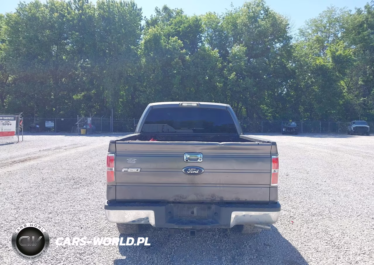 2010 Ford F-150 Fx2 Sport-Xl-Xlt VIN:1FTEW1C87AKA22983 - 16