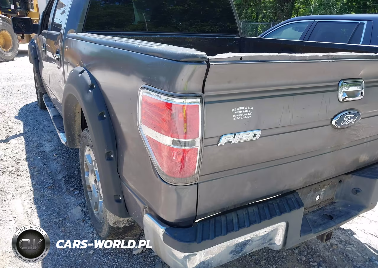2010 Ford F-150 Fx2 Sport-Xl-Xlt VIN:1FTEW1C87AKA22983 - 17
