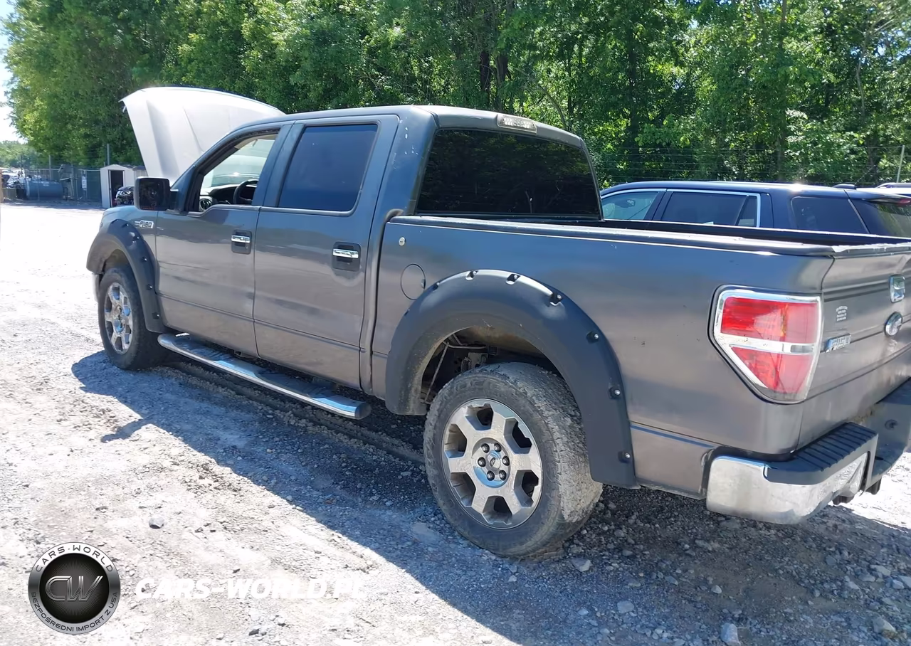 2010 Ford F-150 Fx2 Sport-Xl-Xlt VIN:1FTEW1C87AKA22983 - 18
