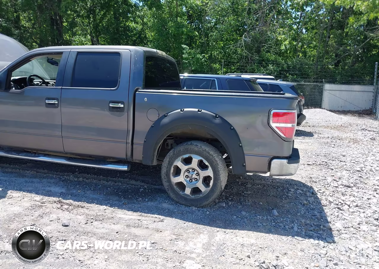 2010 Ford F-150 Fx2 Sport-Xl-Xlt VIN:1FTEW1C87AKA22983 - 19