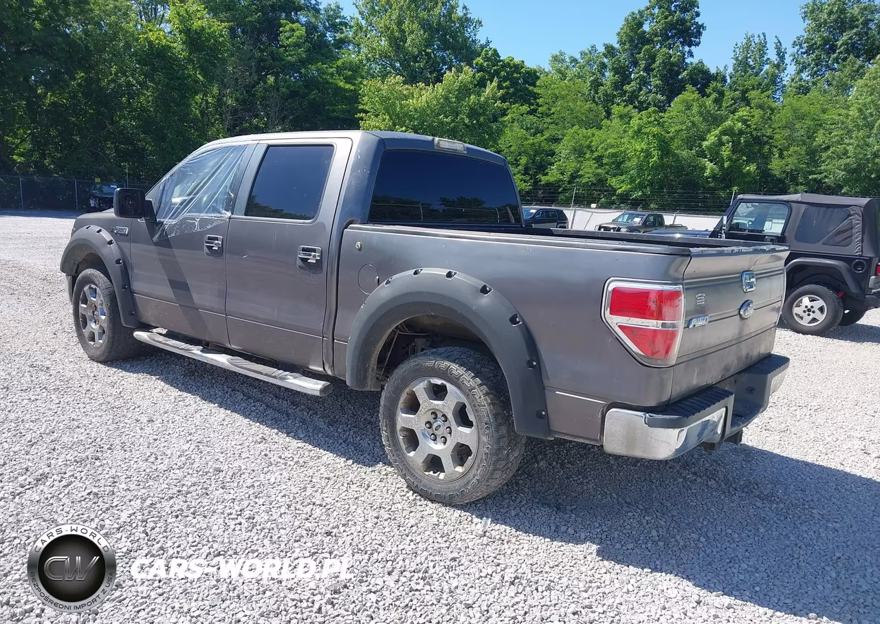 2010 Ford F-150 Fx2 Sport-Xl-Xlt VIN:1FTEW1C87AKA22983 - 3