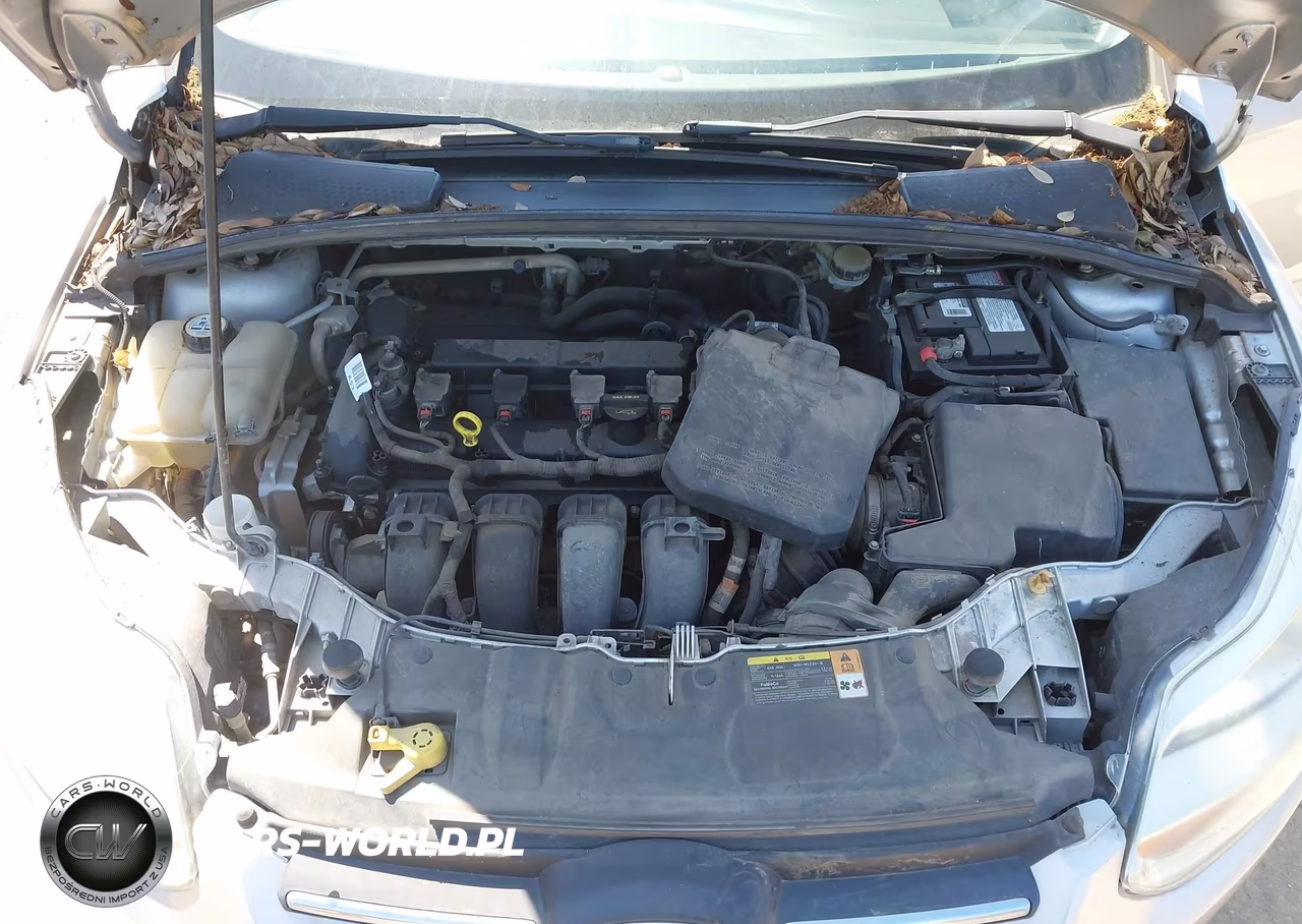 2013 Ford Focus Se VIN:1FADP3K20DL362062 - 10