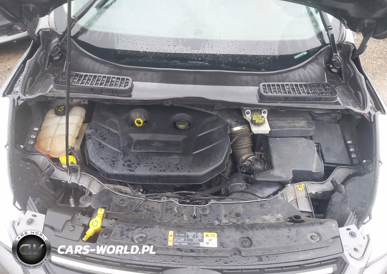 2014 Ford Escape Se VIN:1FMCU9G97EUC84250 - 10
