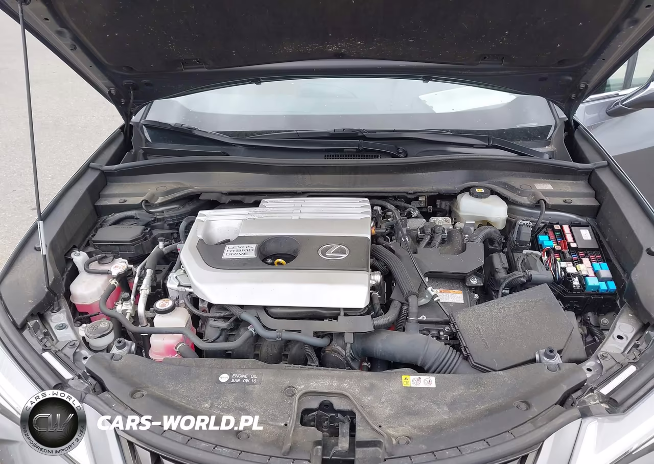 2020 Lexus Ux 250H VIN:JTHP9JBH4L2031322 - 10