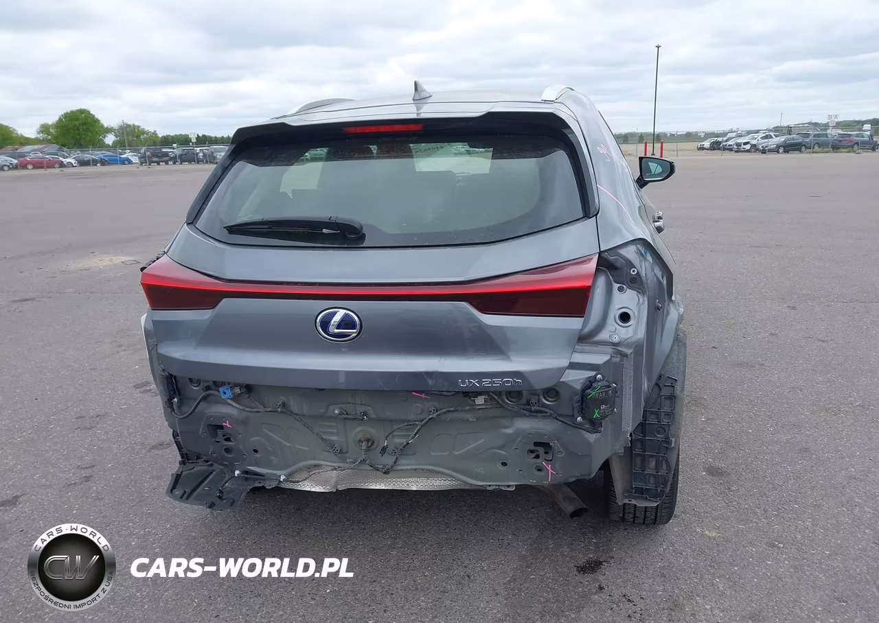 2020 Lexus Ux 250H VIN:JTHP9JBH4L2031322 - 16