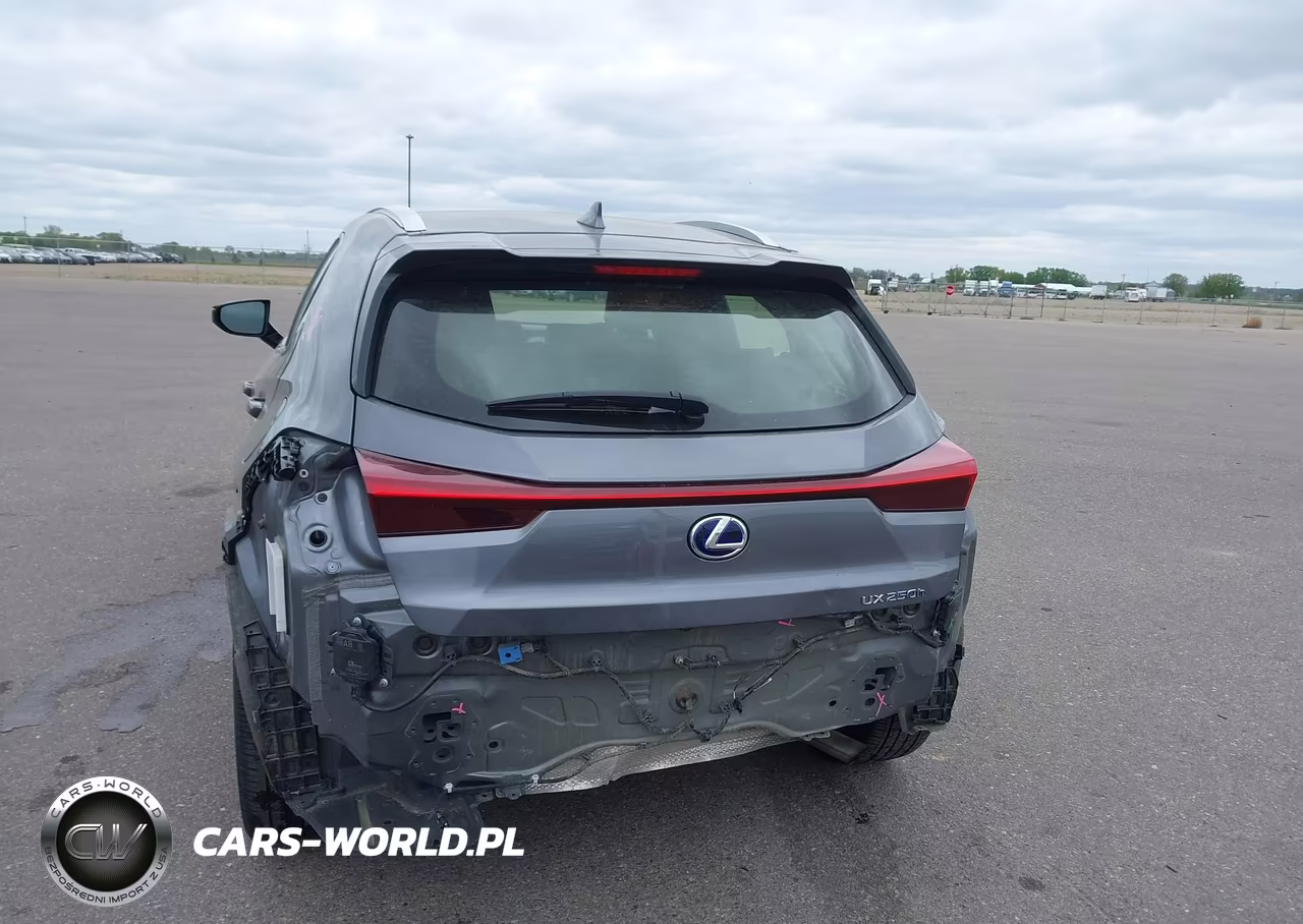 2020 Lexus Ux 250H VIN:JTHP9JBH4L2031322 - 6