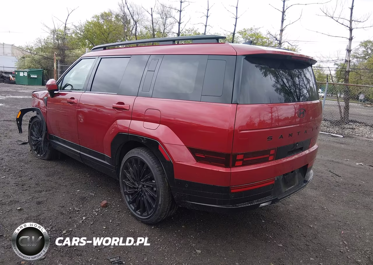 2025 Hyundai Santa Fe Calligraphy VIN:5NMP5DGL2SH106895 - 3