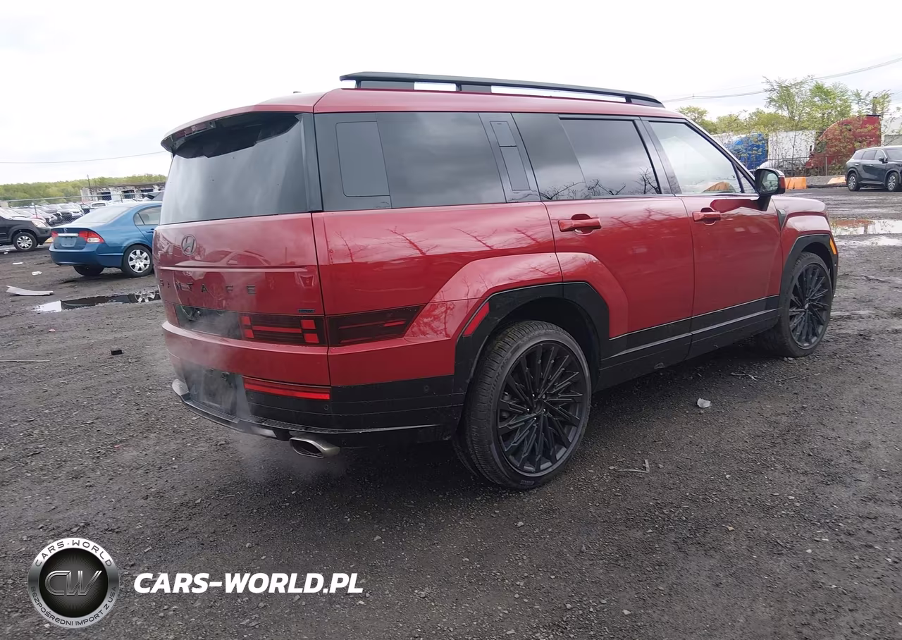 2025 Hyundai Santa Fe Calligraphy VIN:5NMP5DGL2SH106895 - 4