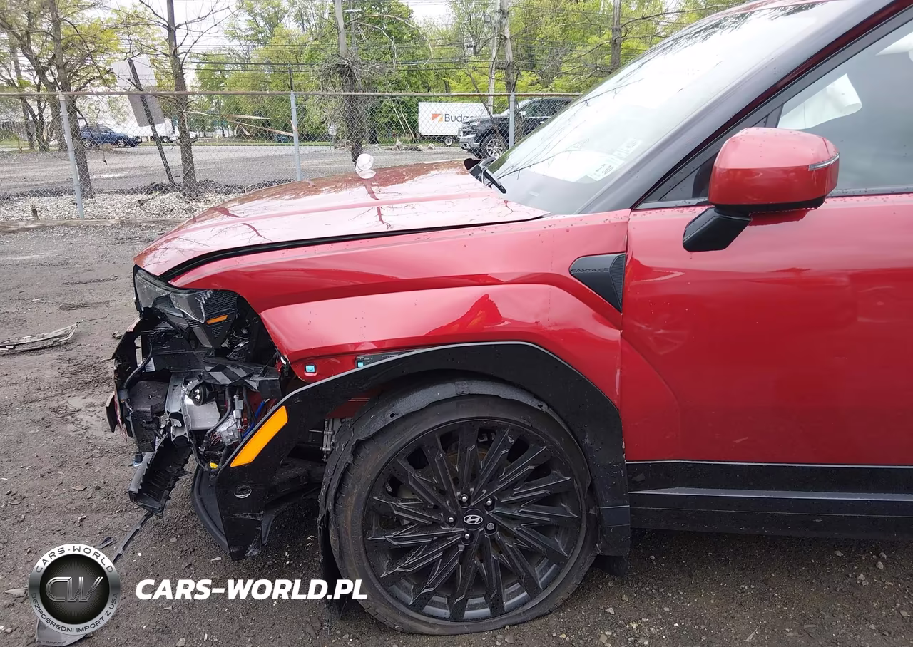 2025 Hyundai Santa Fe Calligraphy VIN:5NMP5DGL2SH106895 - 6