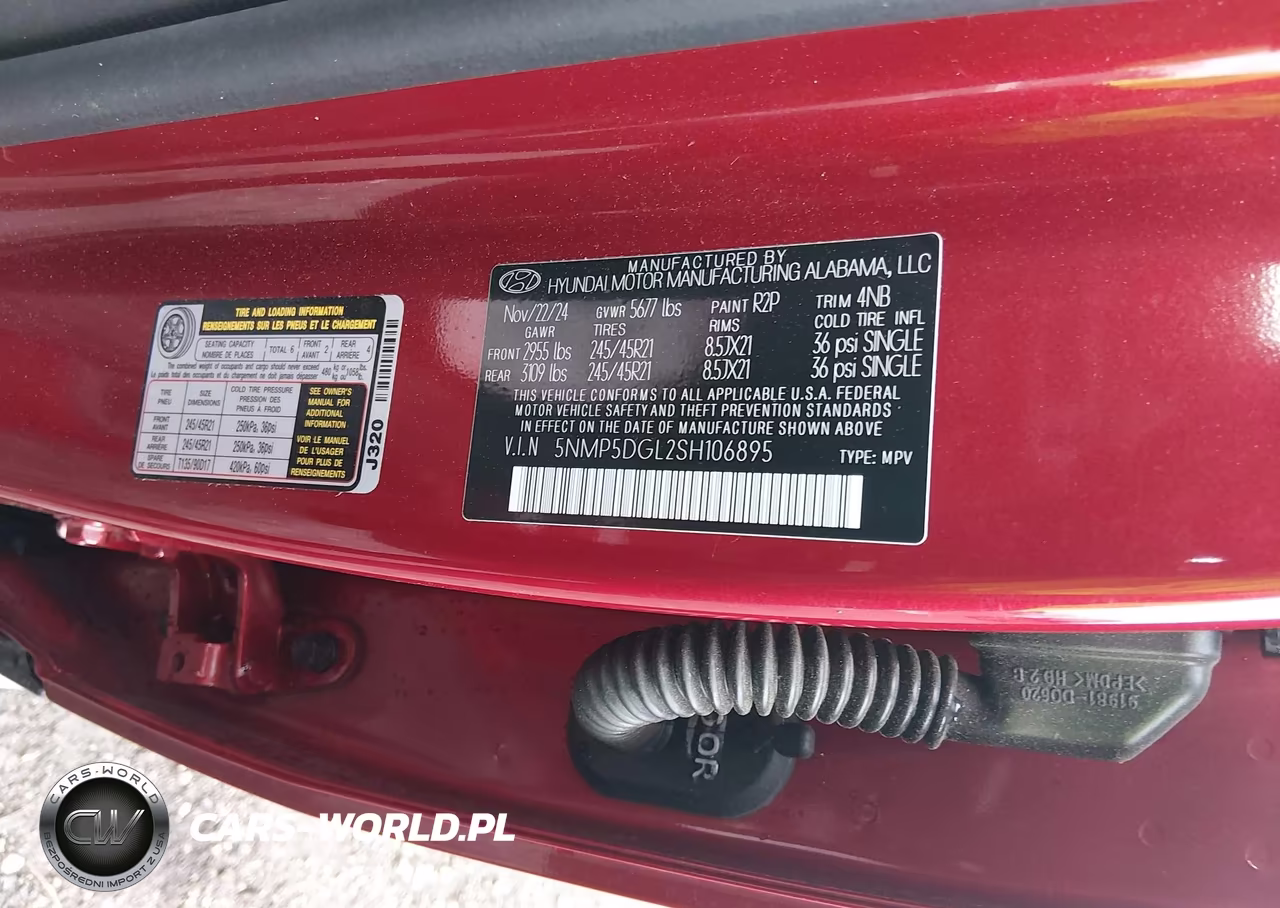 2025 Hyundai Santa Fe Calligraphy VIN:5NMP5DGL2SH106895 - 9
