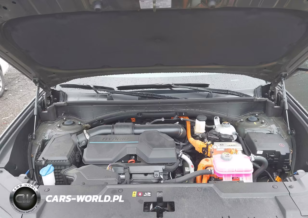 2025 Hyundai Santa Fe Hybrid Calligraphy VIN:5NMP54G1XSH061218 - 10