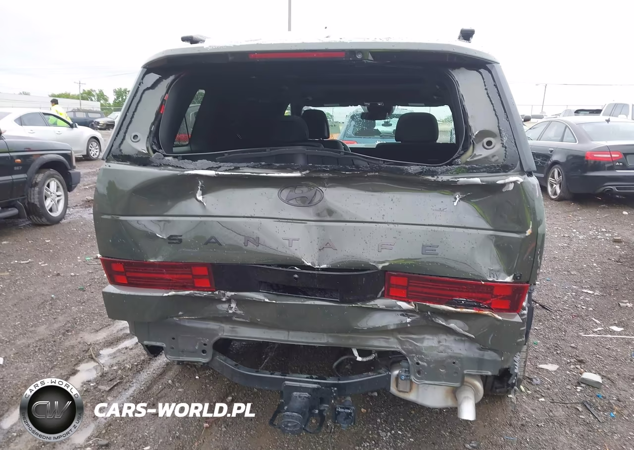 2025 Hyundai Santa Fe Hybrid Calligraphy VIN:5NMP54G1XSH061218 - 17