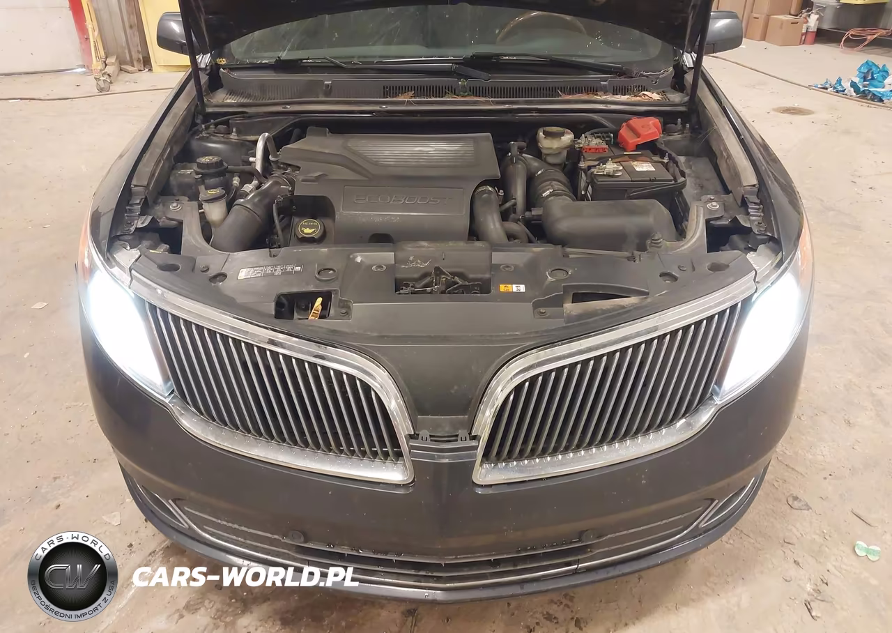 2014 Lincoln Mks Ecoboost VIN:1LNHL9FT5EG610843 - 10
