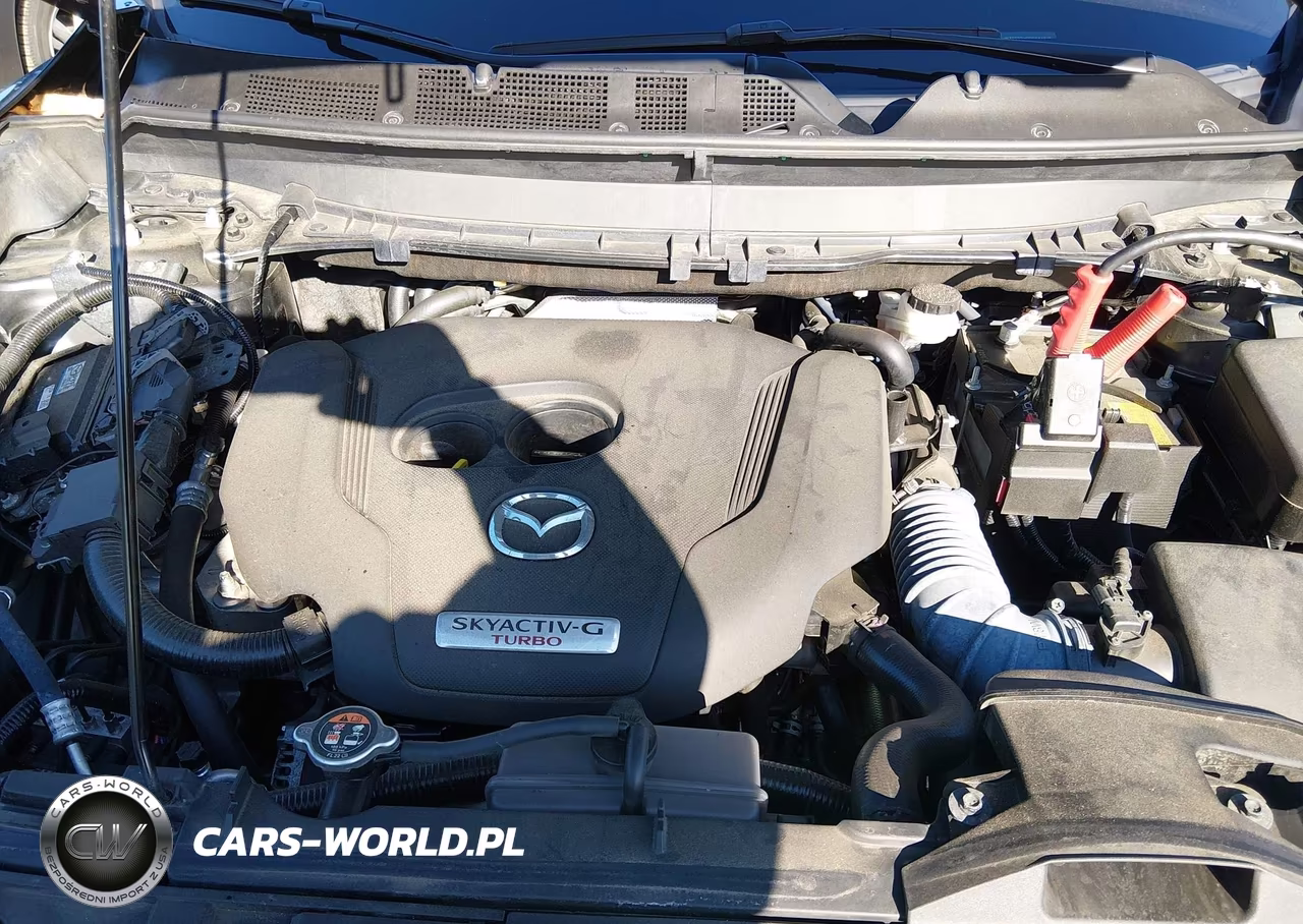 2023 Mazda Cx-9 Grand Touring VIN:JM3TCBDY9P0641245 - 10