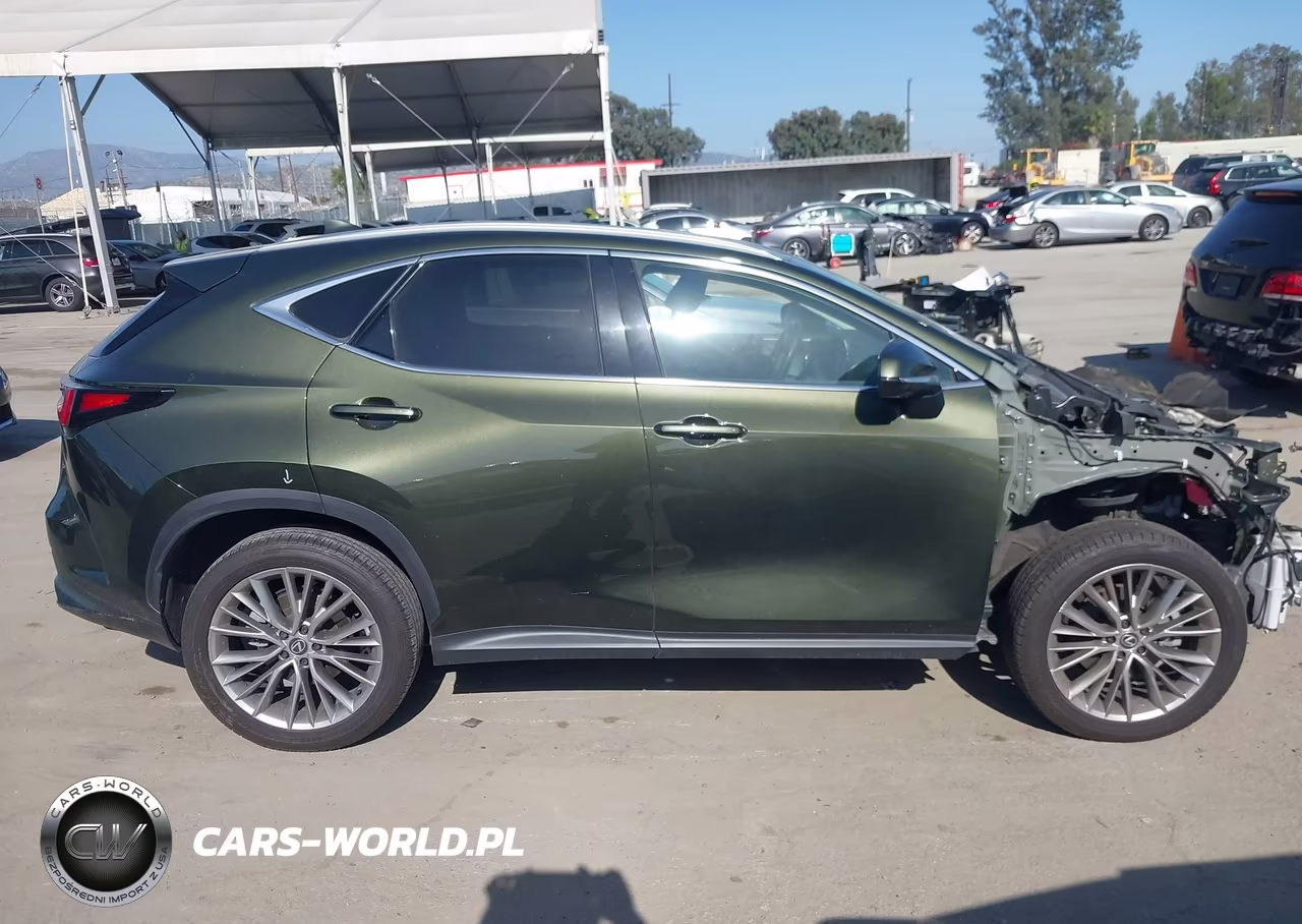 2024 Lexus Nx 350 Luxury VIN:2T2HGCEZ2RC054941 - 14