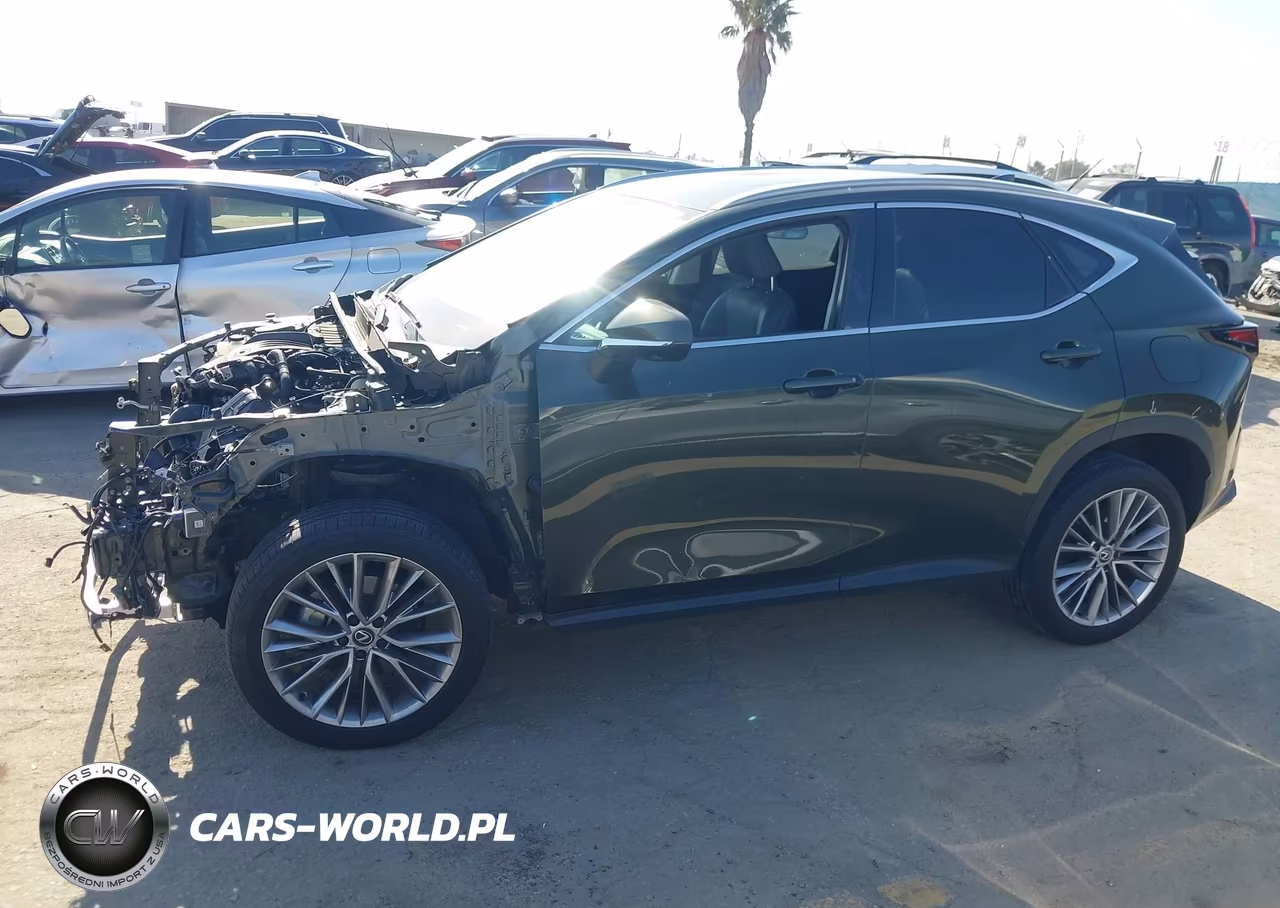2024 Lexus Nx 350 Luxury VIN:2T2HGCEZ2RC054941 - 15