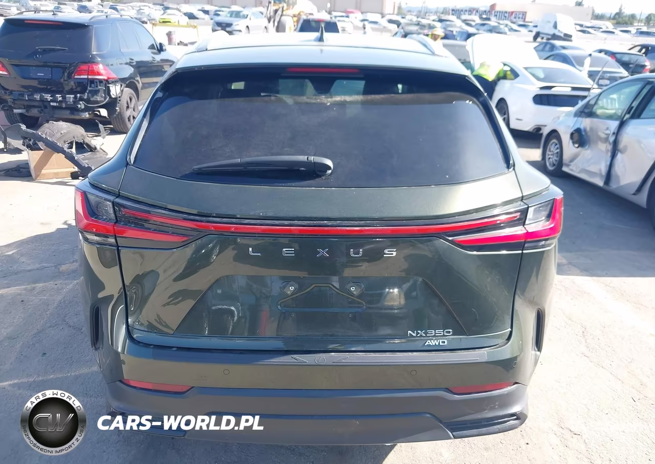 2024 Lexus Nx 350 Luxury VIN:2T2HGCEZ2RC054941 - 17
