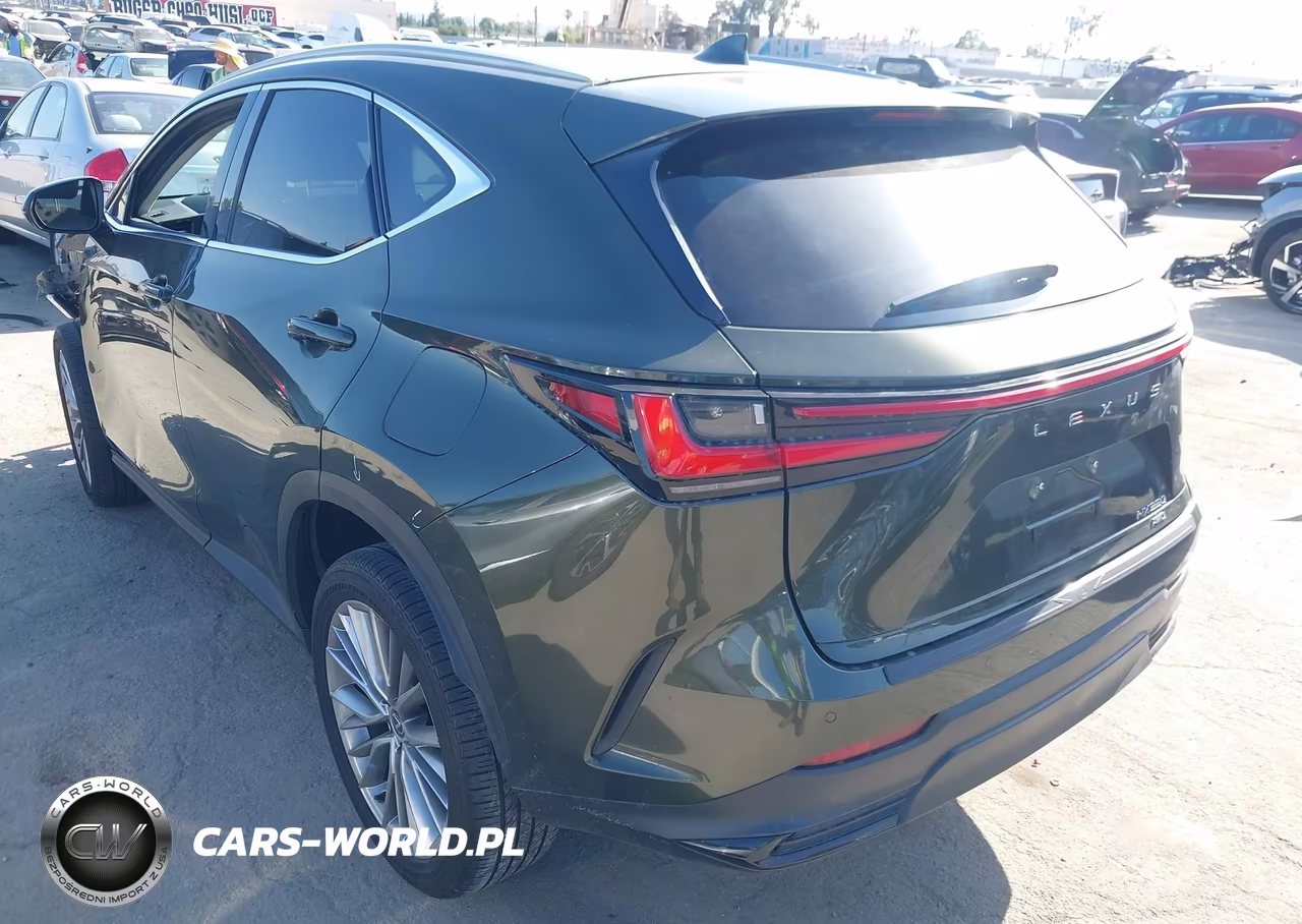 2024 Lexus Nx 350 Luxury VIN:2T2HGCEZ2RC054941 - 3