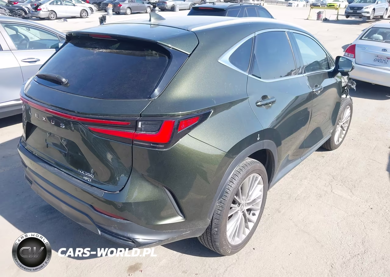 2024 Lexus Nx 350 Luxury VIN:2T2HGCEZ2RC054941 - 4