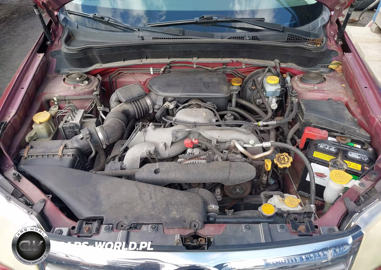 2010 Subaru Forester 2.5X Premium VIN:JF2SH6CC2AG700946 - 10
