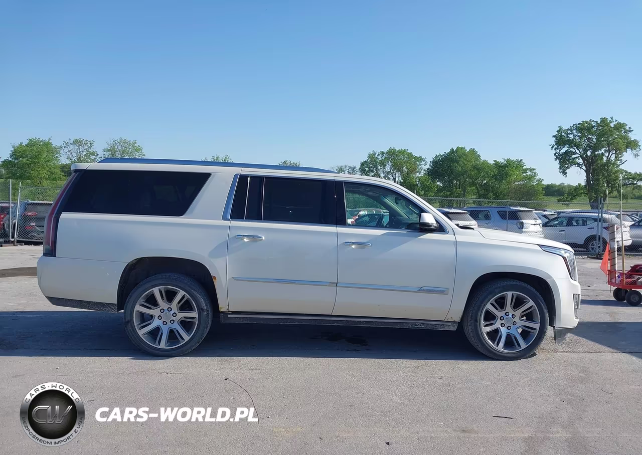 2015 Cadillac Escalade Esv Premium VIN:1GYS4JKJ2FR280155 - 13