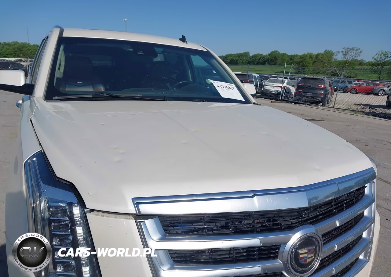 2015 Cadillac Escalade Esv Premium VIN:1GYS4JKJ2FR280155 - 6