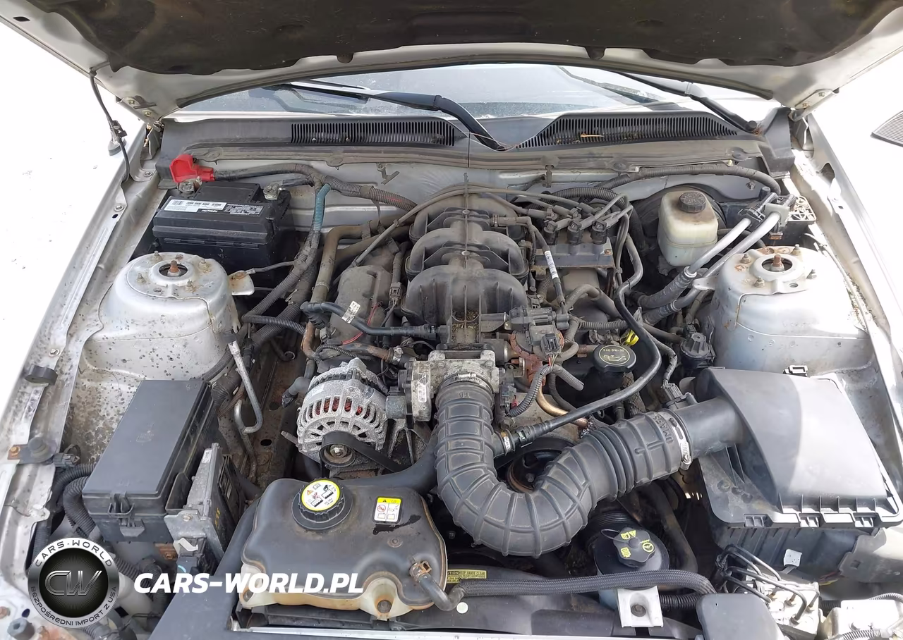 2007 Ford Mustang V6 Deluxe-V6 Premium VIN:1ZVFT80N175244052 - 10