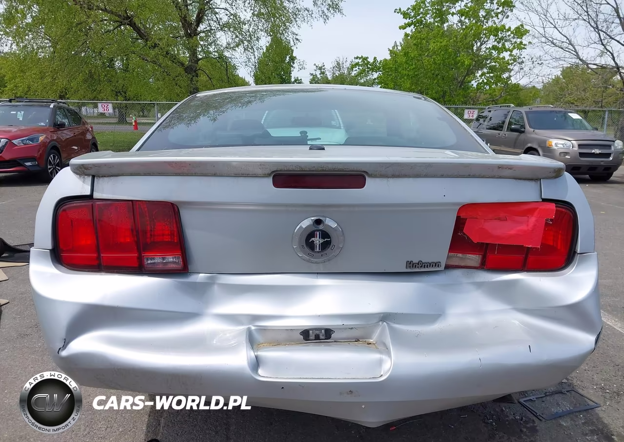 2007 Ford Mustang V6 Deluxe-V6 Premium VIN:1ZVFT80N175244052 - 12