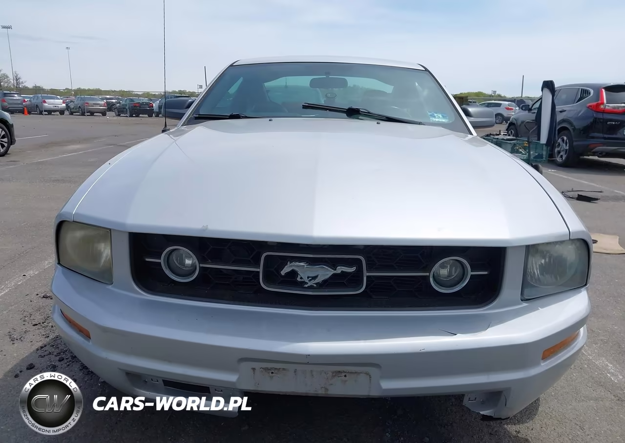 2007 Ford Mustang V6 Deluxe-V6 Premium VIN:1ZVFT80N175244052 - 6