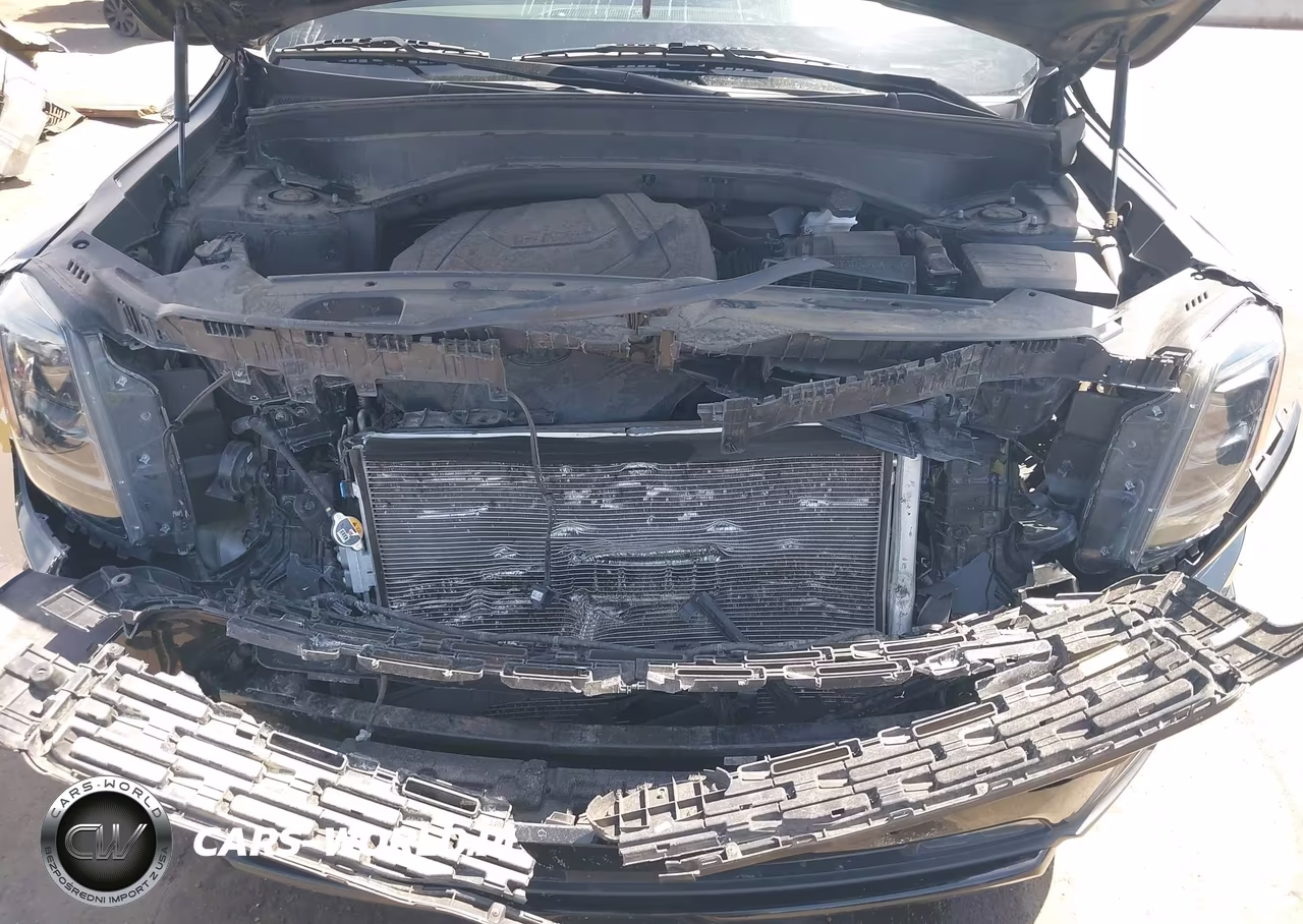 2021 Kia Telluride Sx VIN:5XYP5DHC2MG096669 - 10