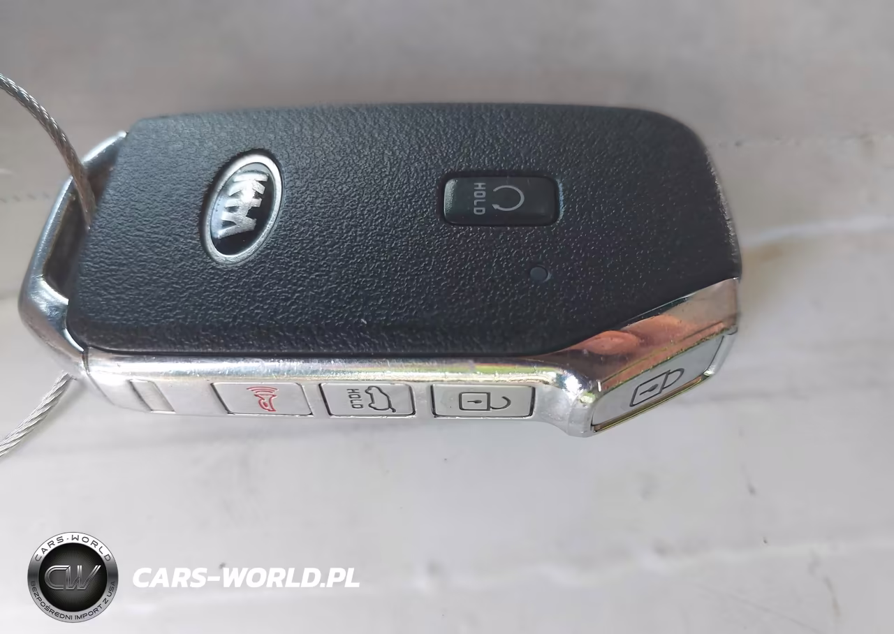 2021 Kia Telluride Sx VIN:5XYP5DHC2MG096669 - 11