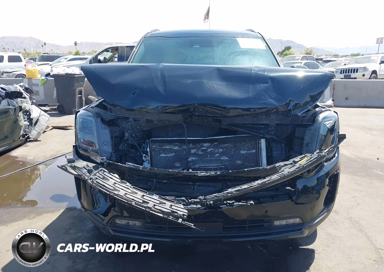 2021 Kia Telluride Sx VIN:5XYP5DHC2MG096669 - 12