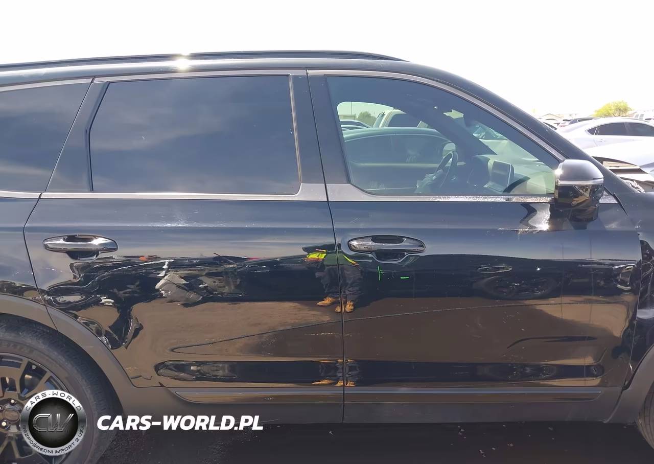 2021 Kia Telluride Sx VIN:5XYP5DHC2MG096669 - 13