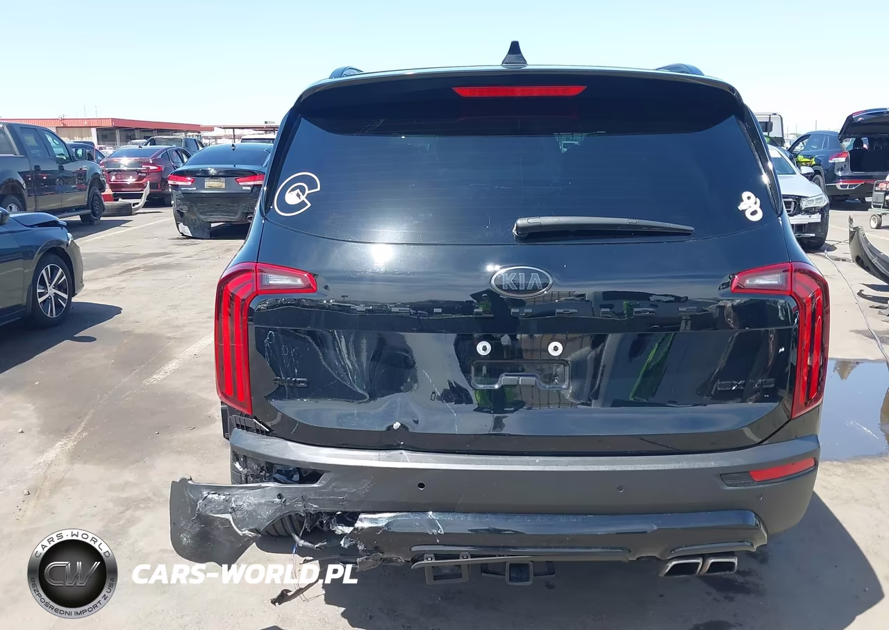 2021 Kia Telluride Sx VIN:5XYP5DHC2MG096669 - 16