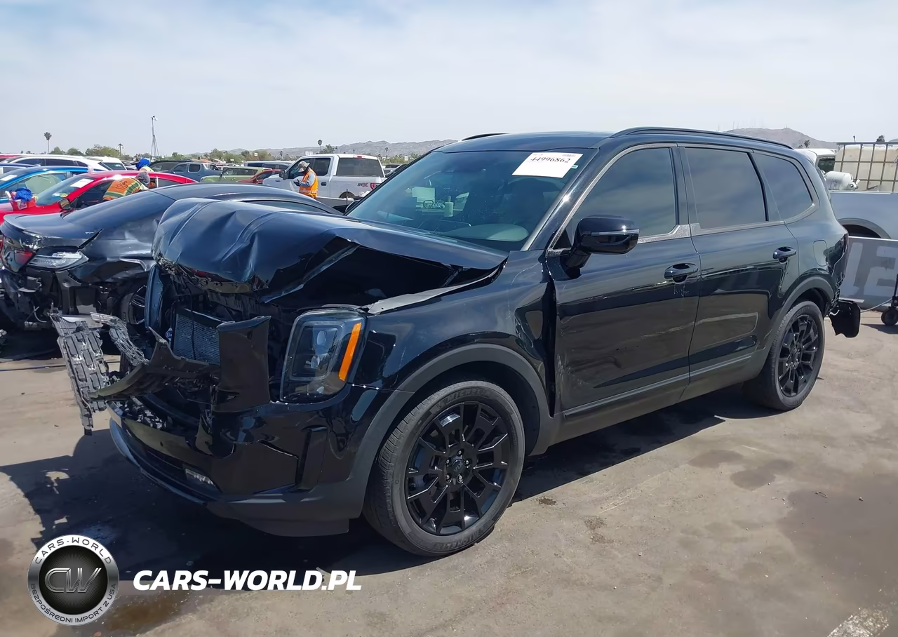 2021 Kia Telluride Sx VIN:5XYP5DHC2MG096669 - 2