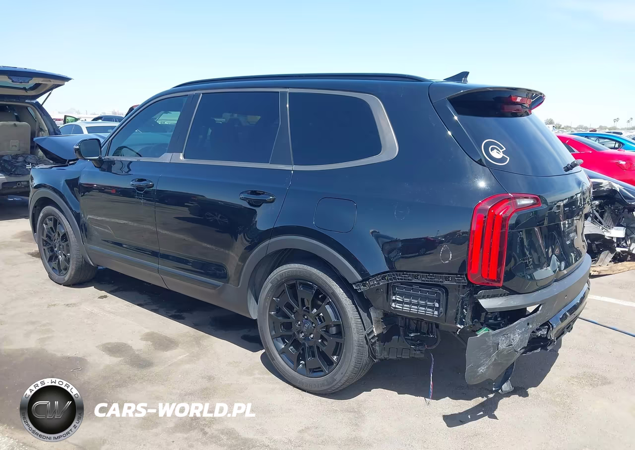 2021 Kia Telluride Sx VIN:5XYP5DHC2MG096669 - 3